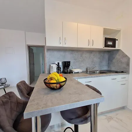 Olga 노비비노돌스키